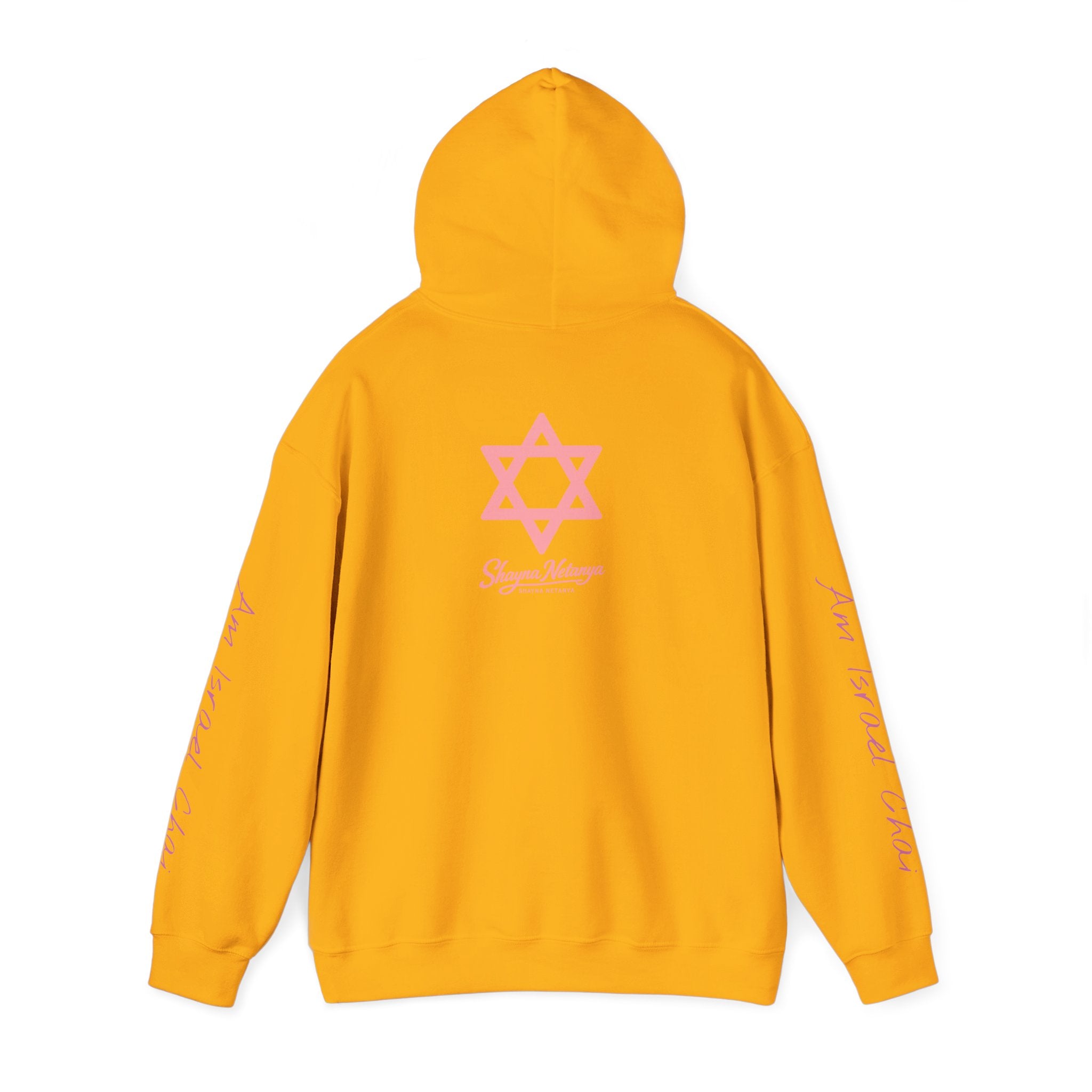 "Fuck Palestine" Unisex Heavy Blend™ Hooded Sweatshirt